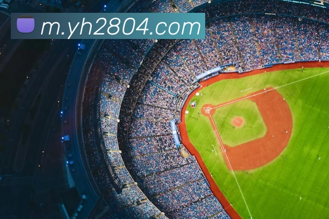 奖项证书